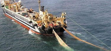 探秘‘海洋巨獸’ 造價(jià)四億的世界最大漁船，萬(wàn)噸漁獲背后的畜牧漁業(yè)飼料銷售鏈